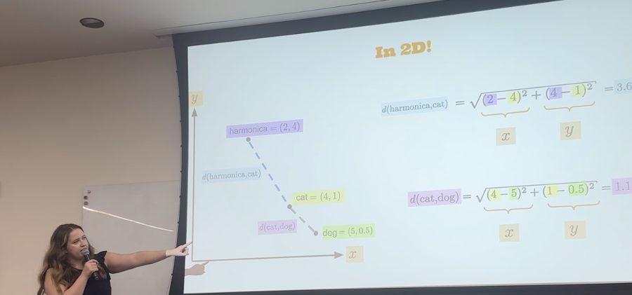 Maria Teleki presenting a slide explaining vector distance in 2D